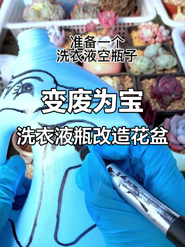 废洗衣液瓶变白天鹅花盆，种多肉超美！