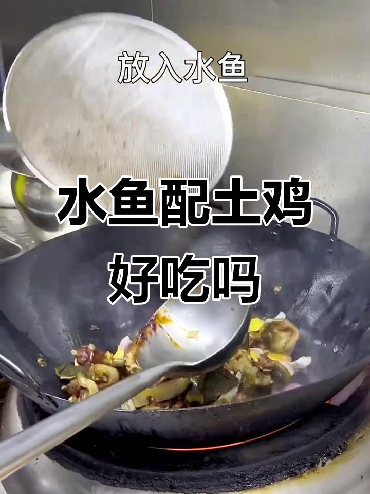 广东广西美食大比拼,水鱼土鸡搭配真能满足味蕾吗?
