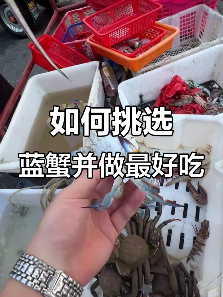 蓝蟹怎么挑?蒸煮技巧大揭秘,完美做法让你停不下来