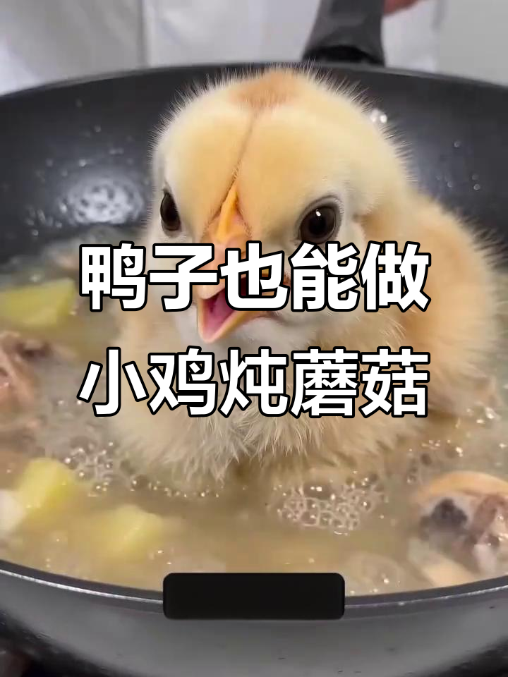 小鸡炖蘑菇变鸭腿，六六六太搞笑了