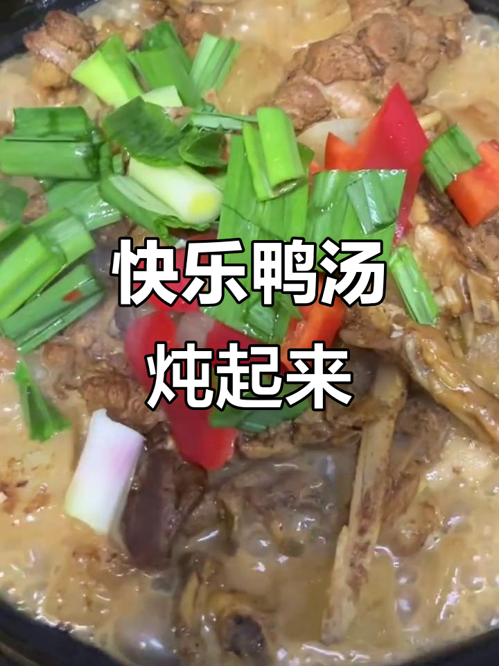 今天炖一只“快乐鸭”,享受美味与快乐的完美结合