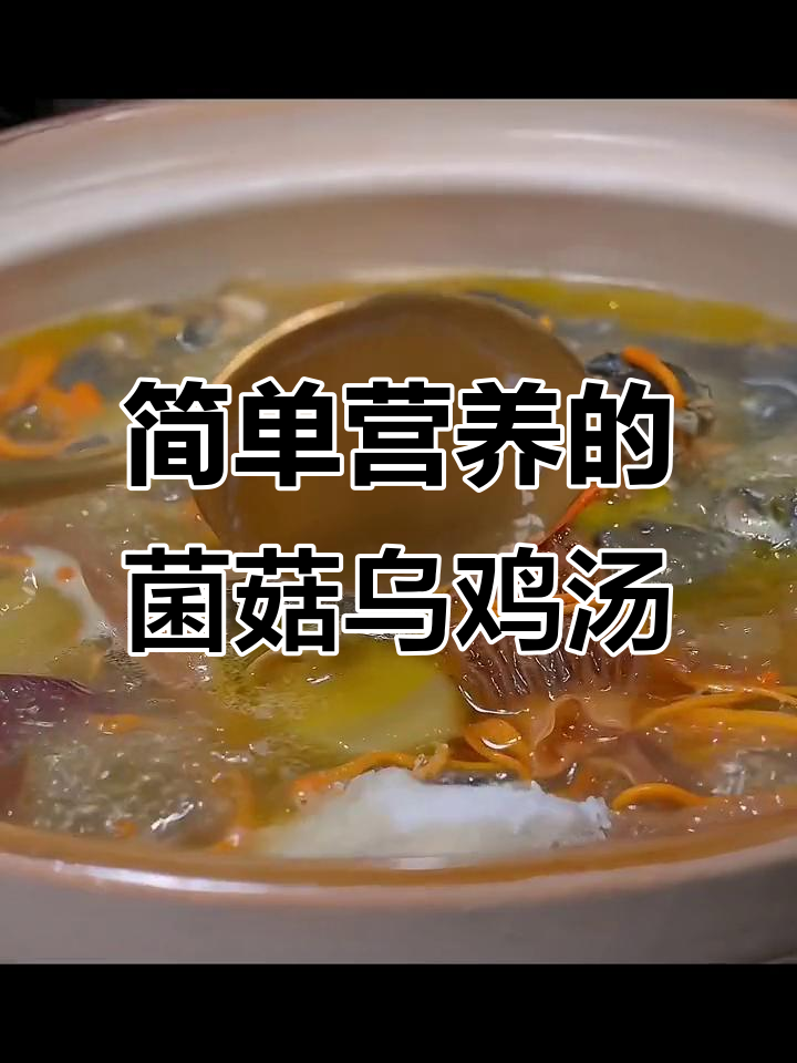 冬季暖心汤,菌菇乌鸡汤做法大揭秘