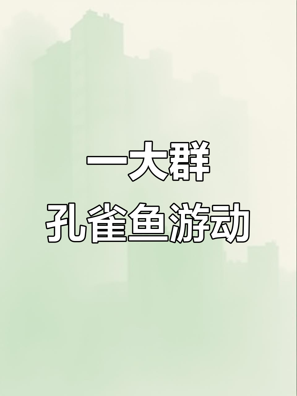 艾尔银蓝孔雀鱼繁殖,一大群游动真可爱