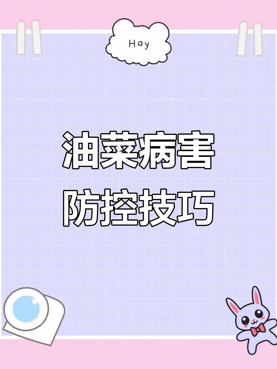 油菜病害防治全攻略,微生物菌肥助力健康种植