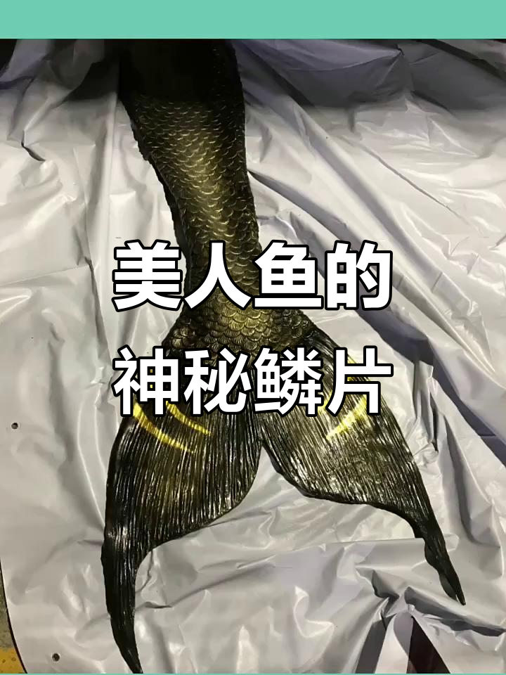 南极海底发现美人鱼,鳞片竟是黑金材质!