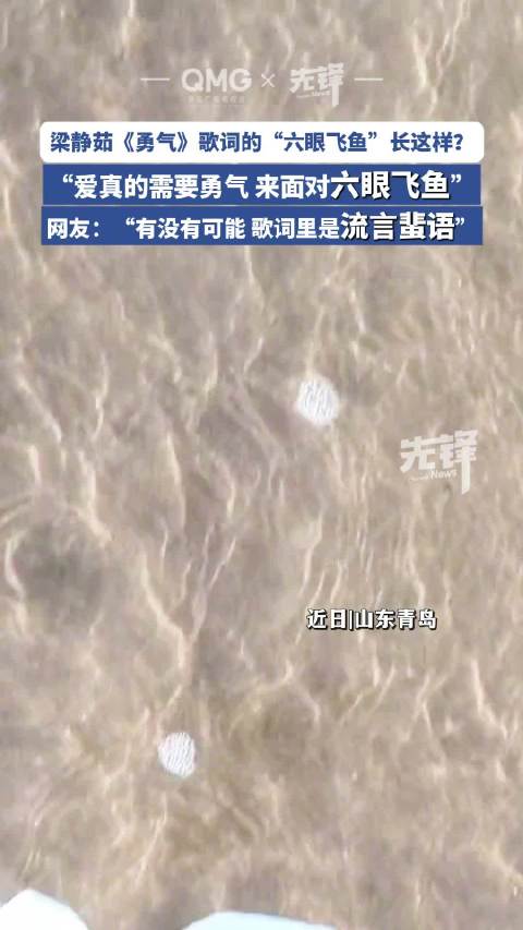 近日,山东青岛,鱼身而鸟翼,展“翅”天海间!石老人海水浴场发现五彩斑斓“飞鱼”!