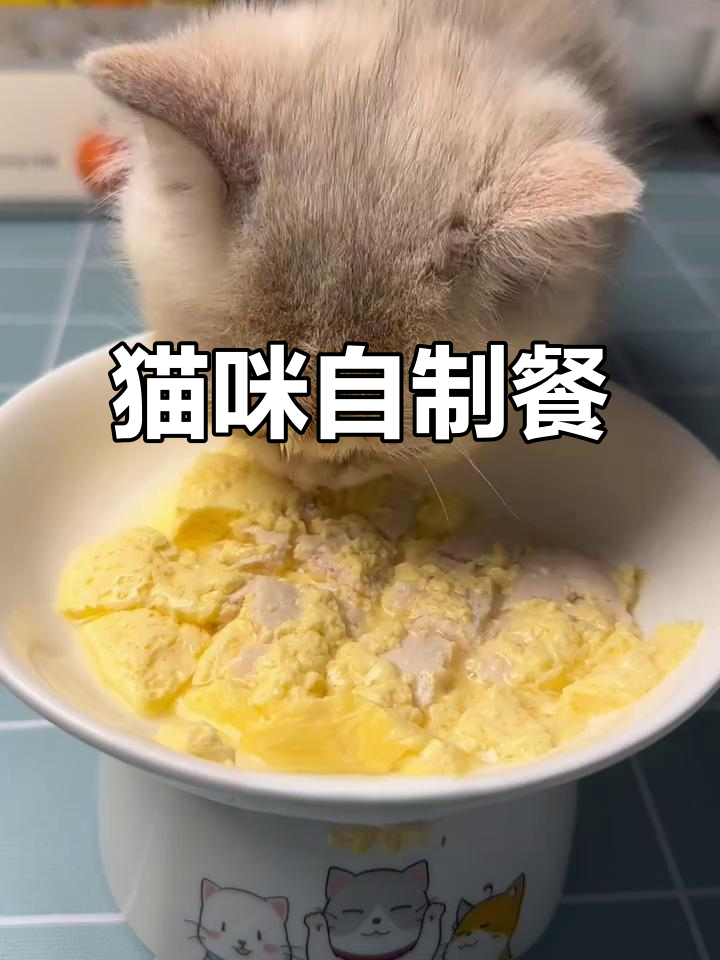 自制鸡肉羊奶蛋糕,简单又美味!