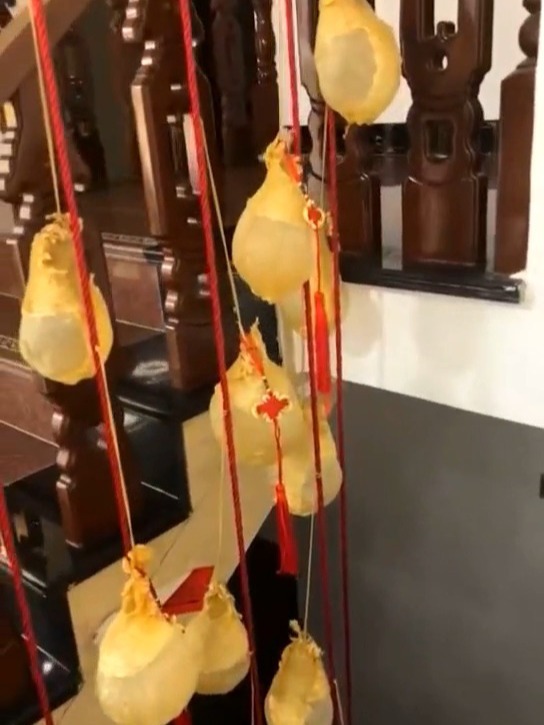 鱼胶保存方法