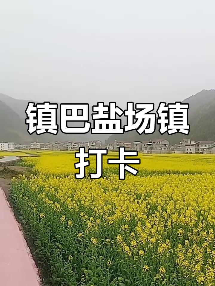 打卡陕西镇巴盐场镇,油菜花海美景尽收眼底