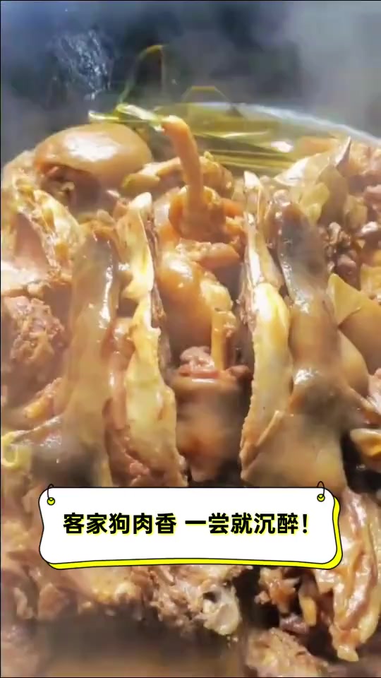 客家狗肉香,一尝就沉醉!