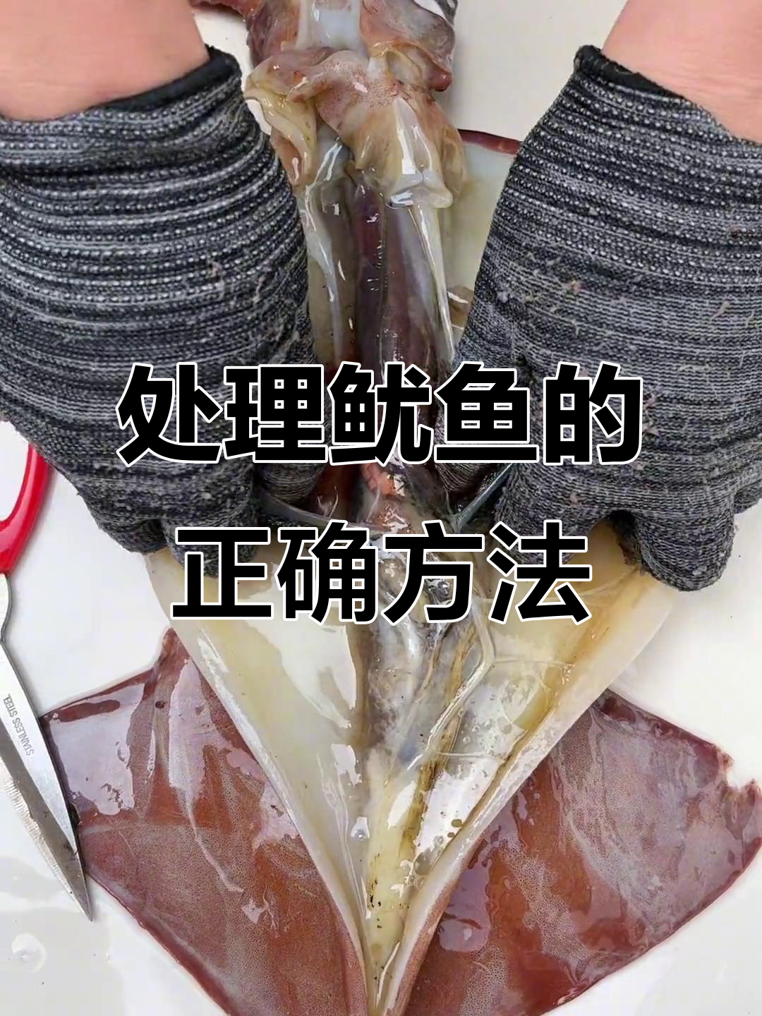 鱿鱼内脏大揭秘，教你如何处理才能吃到最美味的部分