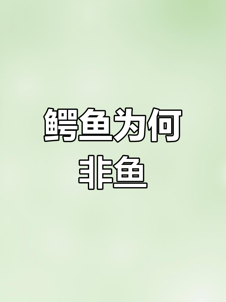 鳄鱼不是鱼类,揭秘爬行动物与水生生物的区别