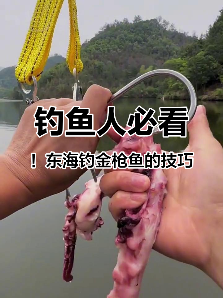 东海钓金枪鱼必备装备:如何选择合适的鱼钩和线组
