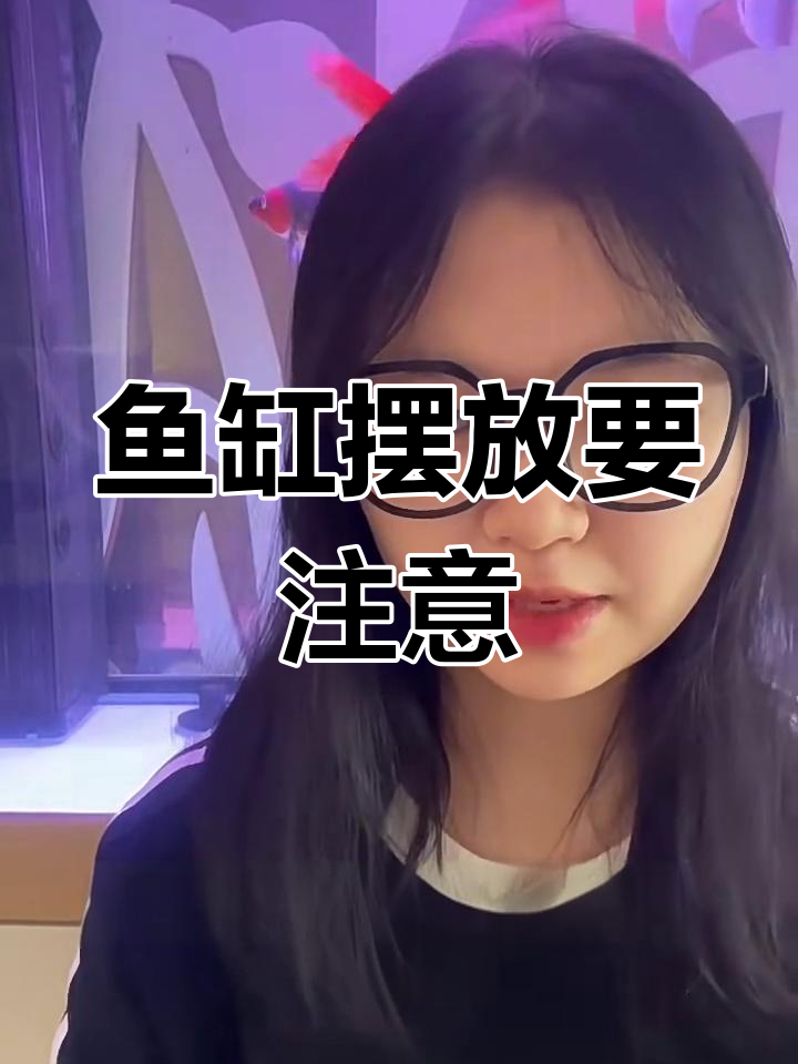 鱼缸摆放的禁忌与技巧,避免这些位置让家居更和谐