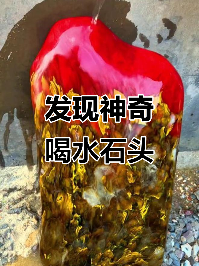 放羊捡到一块会喝水的石头,像鸡血石一样美丽