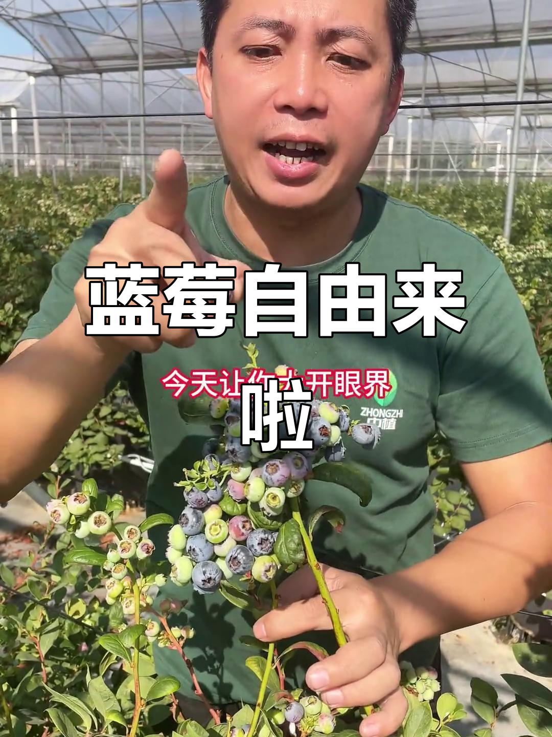 广州花都蓝莓园开放,12月尽享采摘乐趣!