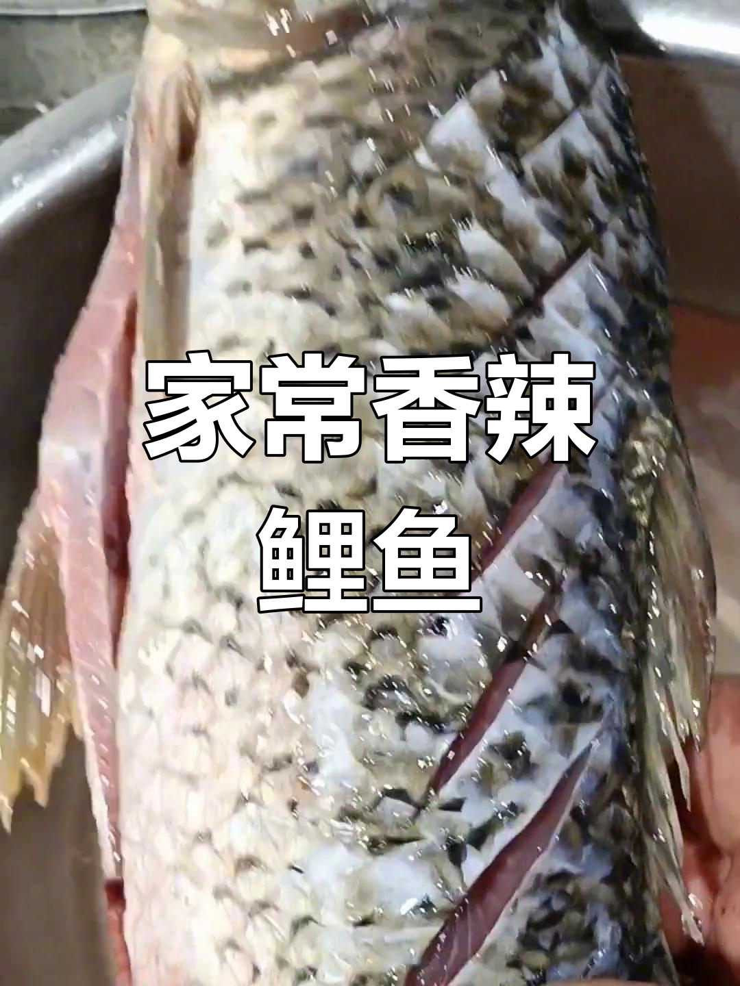 香辣鲤鱼的家常做法