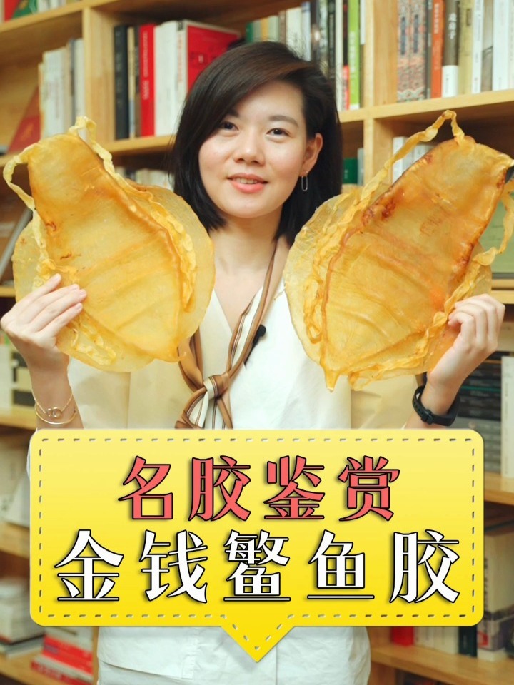 金钱鳘鱼胶,给大家直观看实物