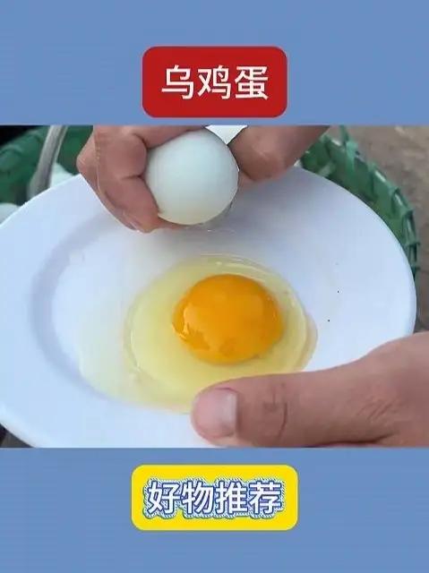 农村的那个土鸡蛋,一直都是怀念的口感,尝尝正宗绿壳土鸡蛋吧。好吃不贵经济实惠乌鸡蛋#土鸡蛋
