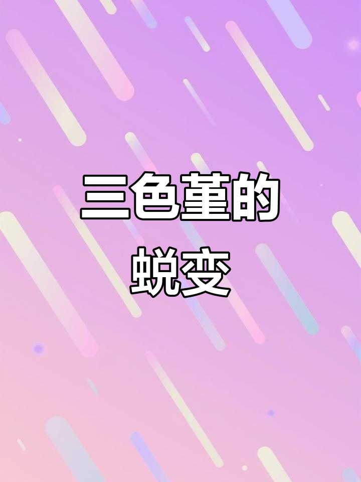 三色堇缀化,从年轻到“变样”全过程