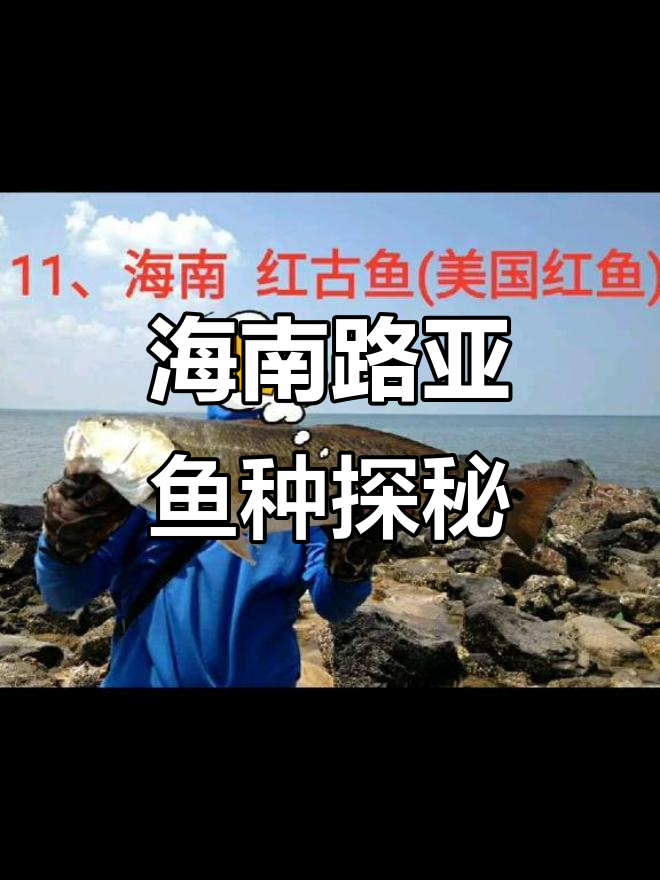 海南近海路亚鱼种大揭秘,32种你解锁了吗?