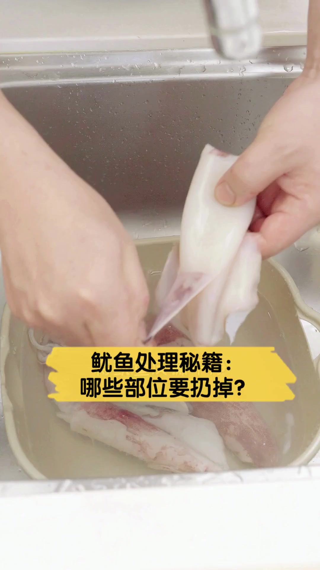 鱿鱼处理秘籍:哪些部位要扔掉?
