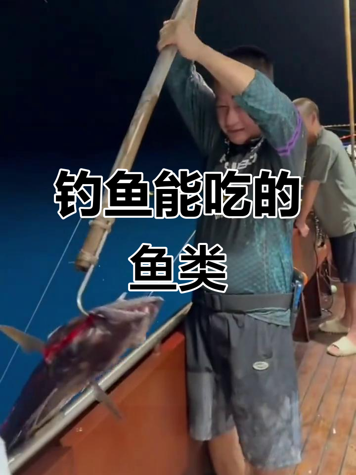 这些鱼能吃,哪些不能吃?海钓时如何判断