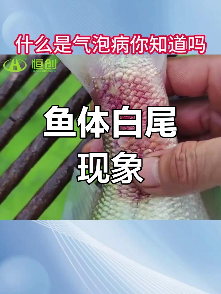 水产养殖中的气泡病解析