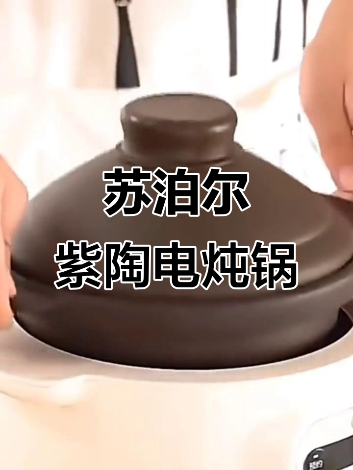 苏泊尔紫陶电炖锅，锁住营养释放美味汤汁