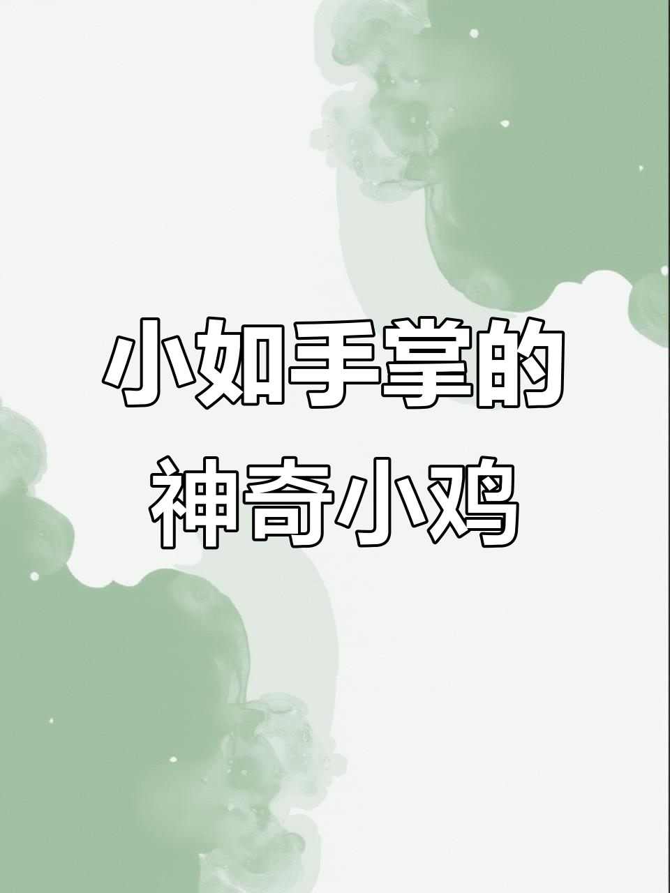 世界上最小的鸡，像巴掌一样大，公鸡打鸣声沙哑可爱