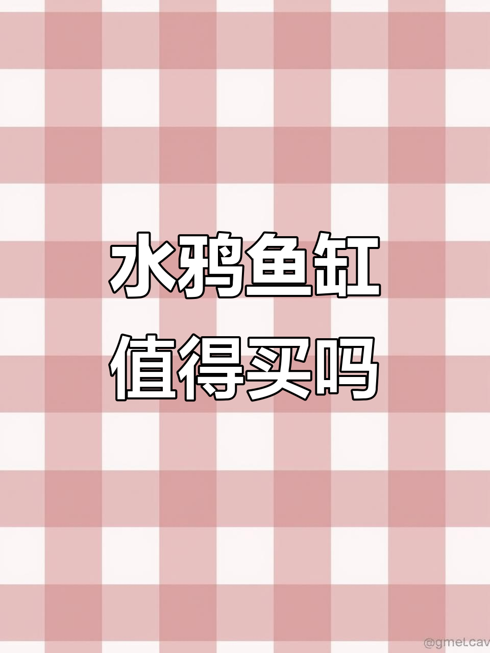 鱼缸造景大揭秘:贵有贵的道理,细节决定成败