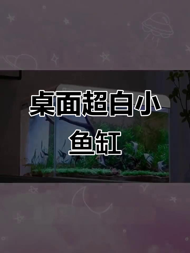 超白玻璃鱼缸,免换水设计让养鱼更轻松
