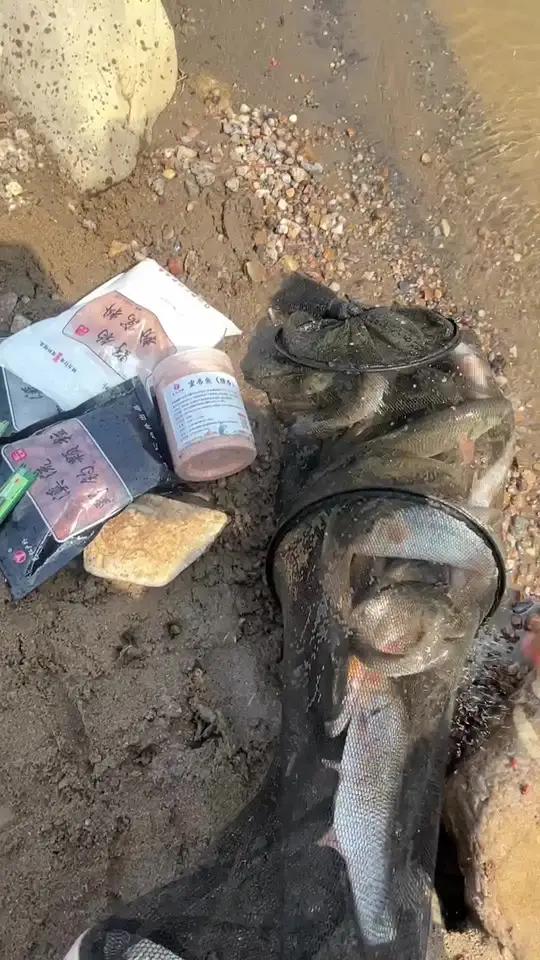 这个鱼怎么做好吃