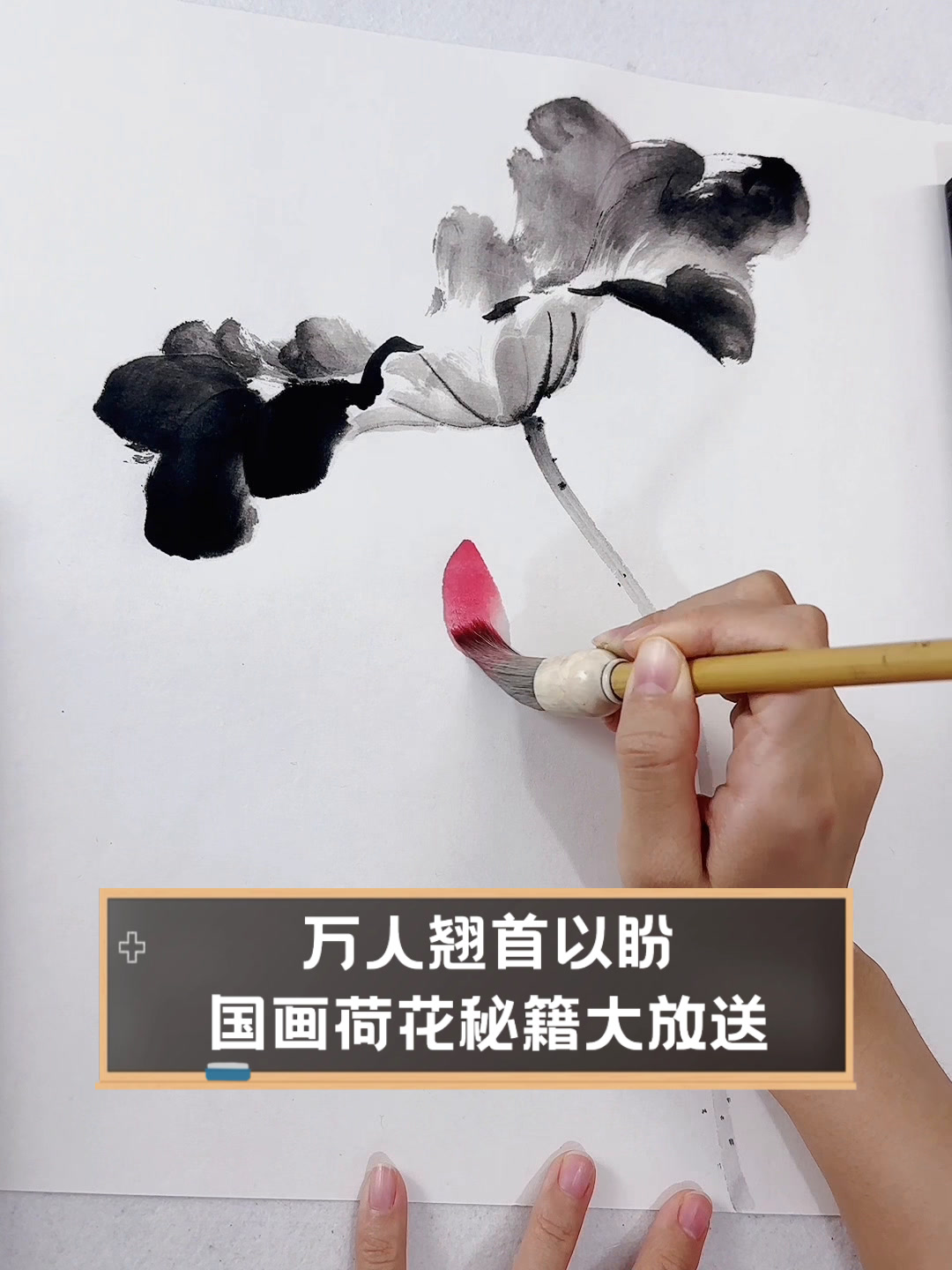 万人翘首以盼,国画荷花秘籍大放送