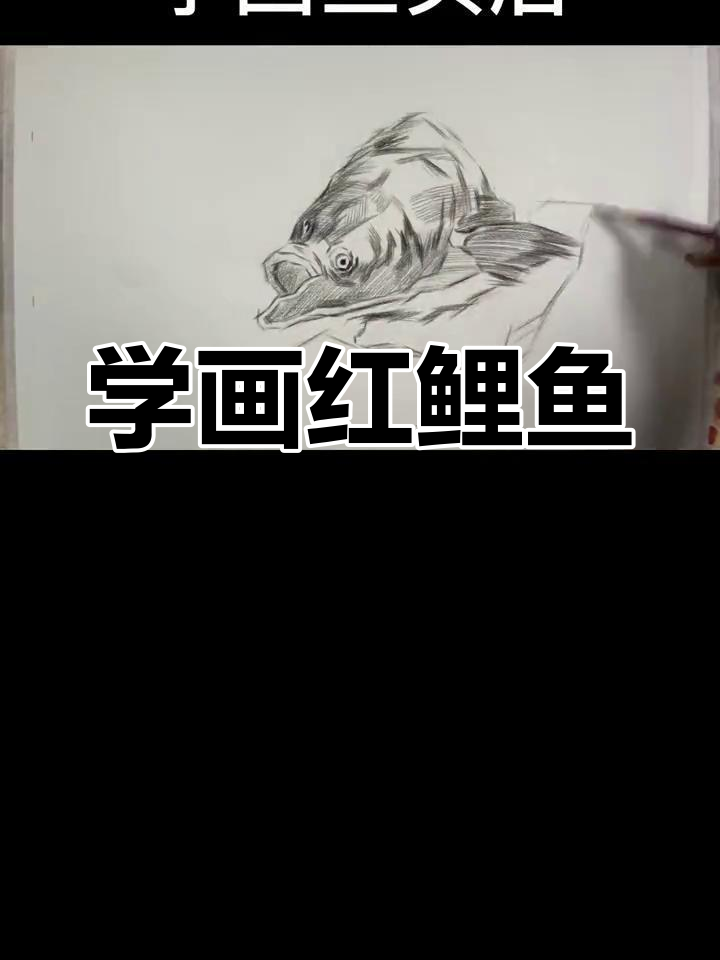 画鱼头还是驴?素描挑战大揭秘