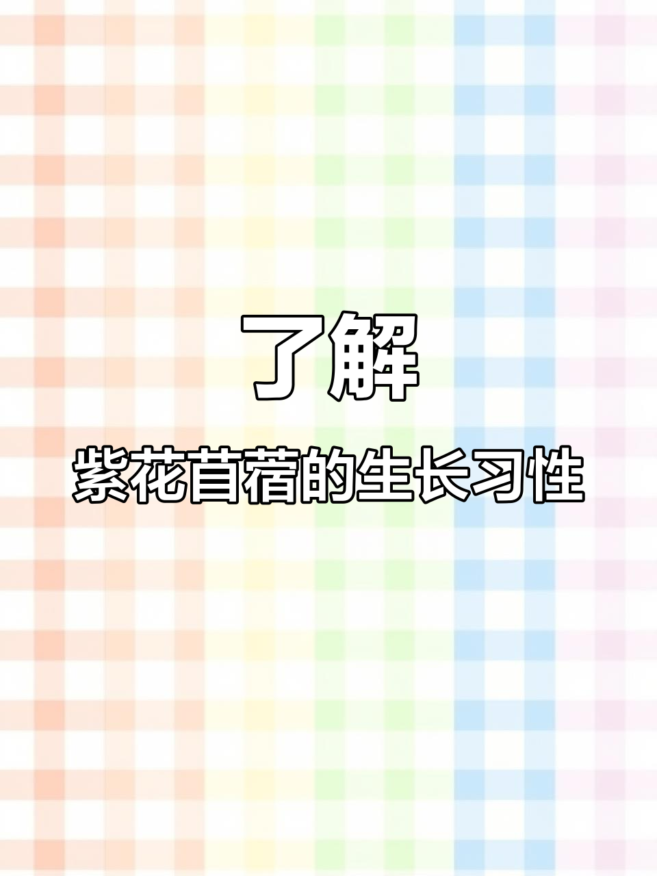 紫花苜蓿:耐寒抗旱,根系发达的多年生草本植物