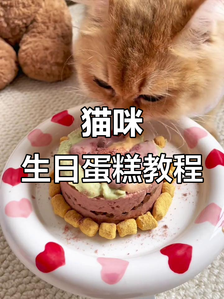 自制猫咪生日蛋糕，简单又有趣！