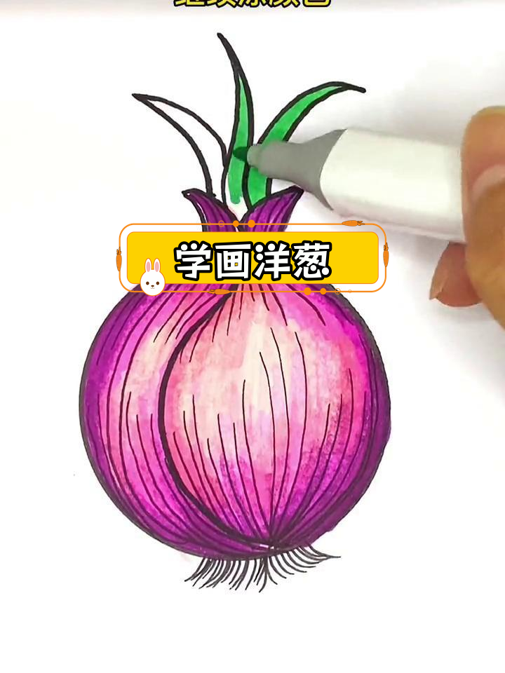 简单洋葱简笔画教程,轻松学会