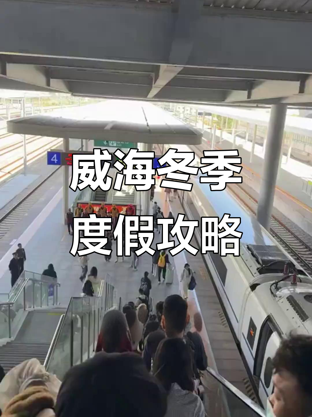 威海冬季纯玩团，带你游遍天鹅湖、海草房与灯塔