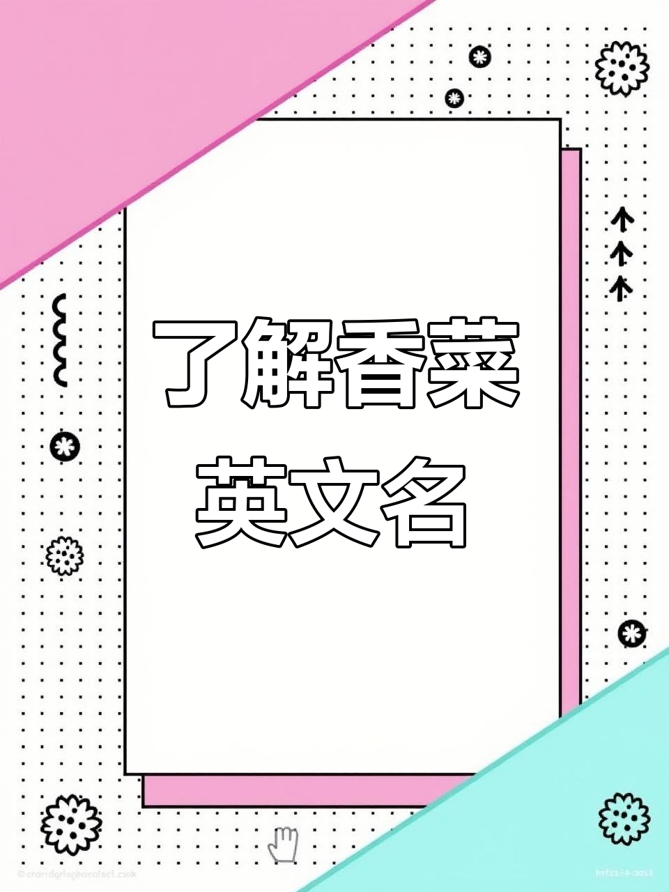 香菜英文“cilantro”大揭秘,原来这么有趣!