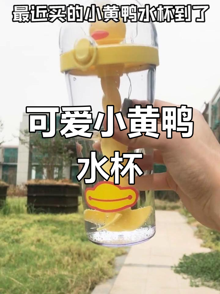 小黄鸭水杯,吸管变搅拌器,喝水更有趣