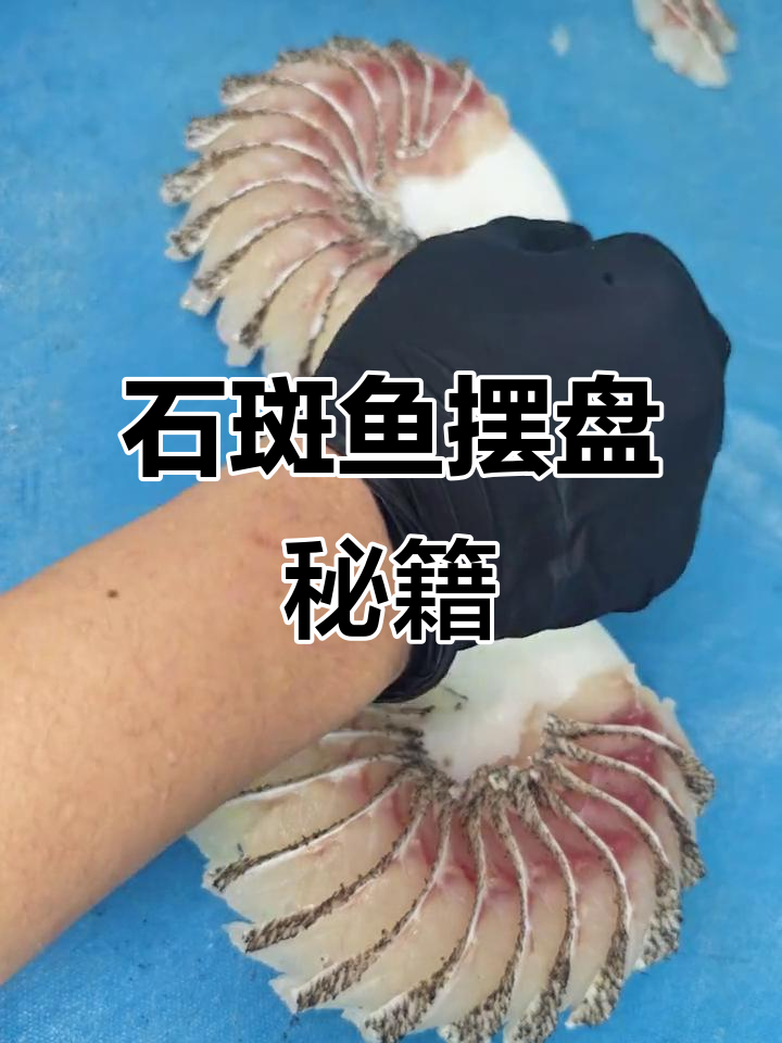 只需一首歌，轻松掌握石斑鱼摆盘技巧，零基础也能上手！