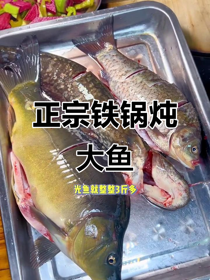 铁锅炖大鱼,三斤国王鱼配四个菜,现吃现炖超有味