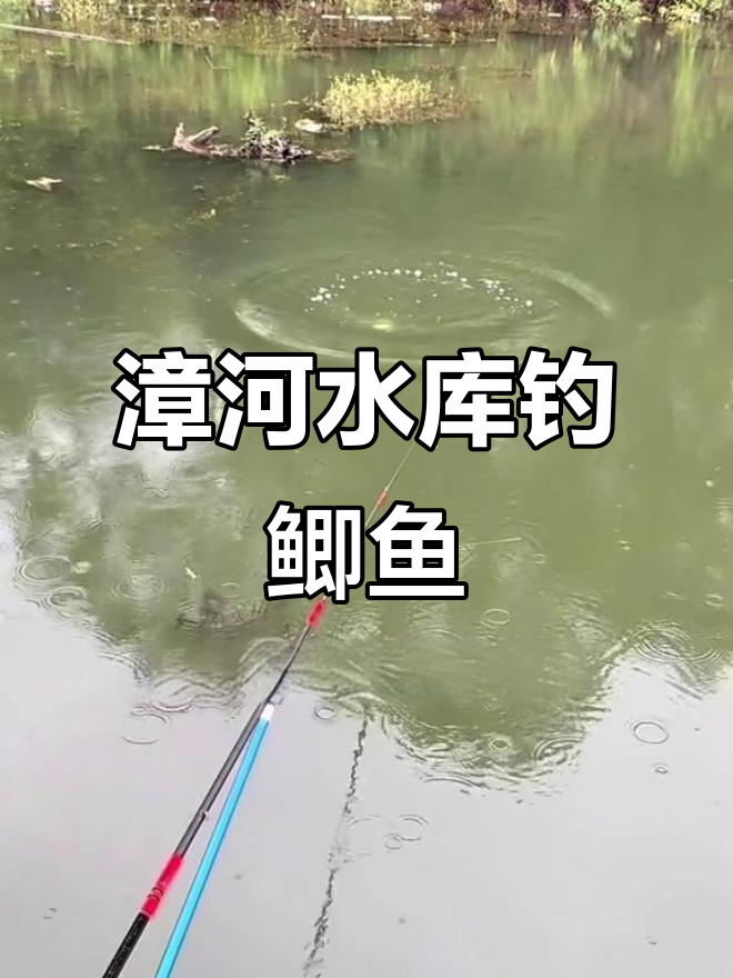 漳河水库钓鱼之旅:九米打窝技巧与小鱼狂潮