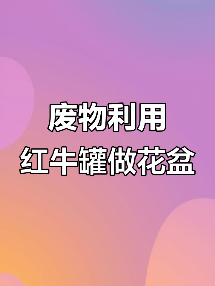 红牛罐变身多肉花盆,废料变宝创意无限