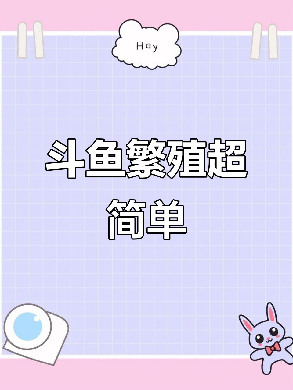 一公一母斗鱼放一起,三五天就能生300-500条小鱼