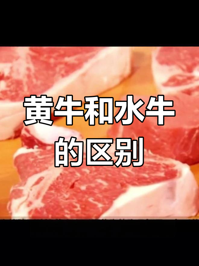 如何区分黄牛肉与水牛肉?