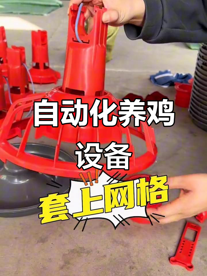 自动料线与机械防潮,养鸡更轻松