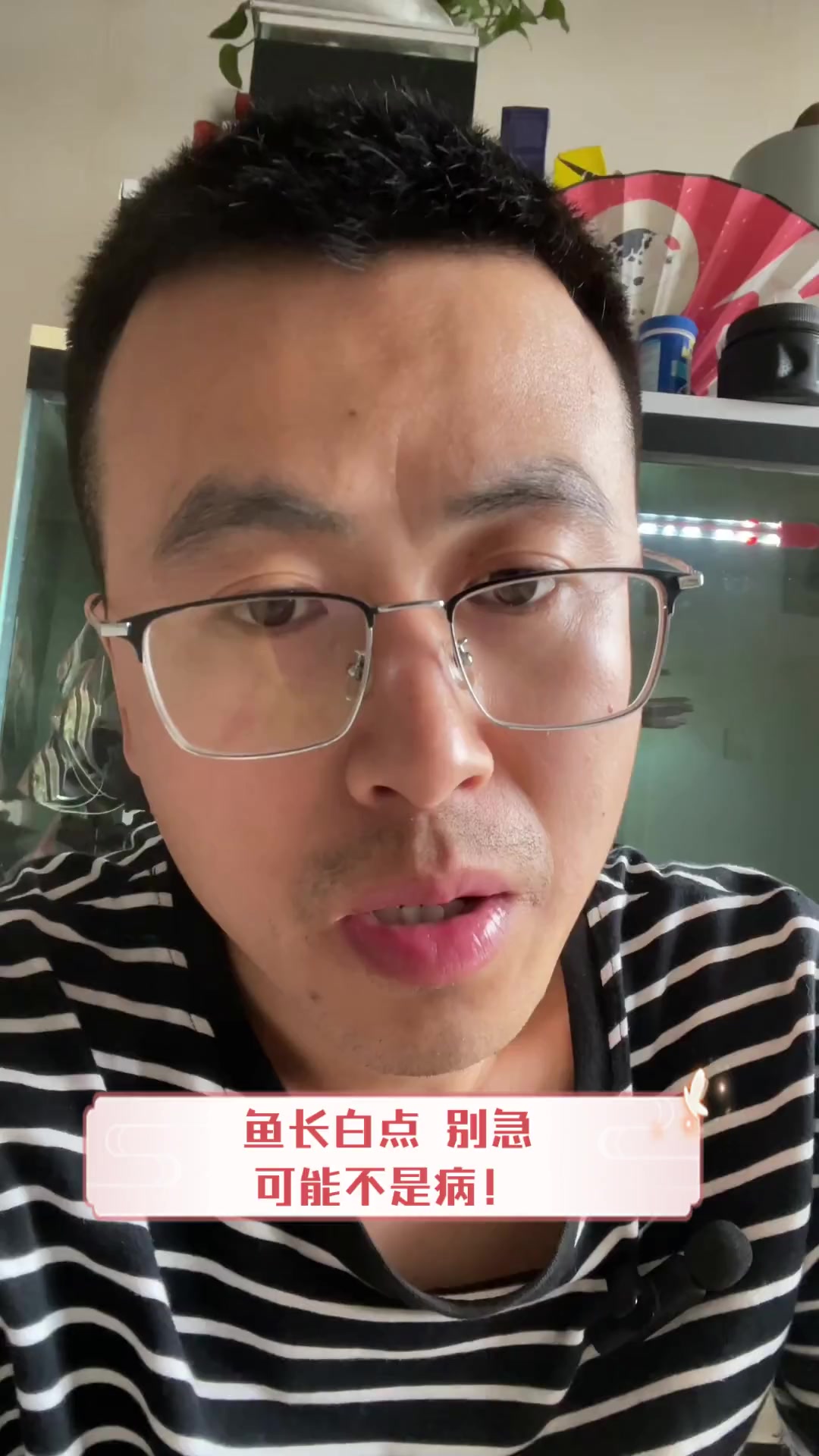 鱼长白点,别急,可能不是病!