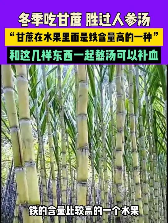 冬季吃甘蔗 胜过人参汤 “甘蔗在水果里面是铁含量高的一种” 和这几样东西一起熬汤可以补血
